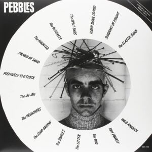 Various ‎/ Pebbles Vol. One : Original Artyfacts From The First Punk Era (Vinyl LP)