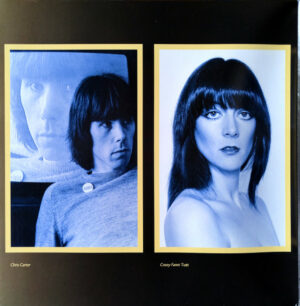 Throbbing Gristle / Heathen Earth (The Live Sound Of T.G.) (Vinyl LP)