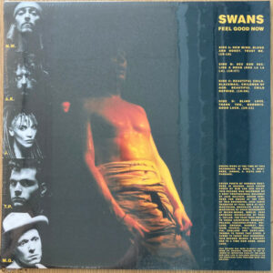 Swans / Feel Good Now (2 x Vinyl LP)